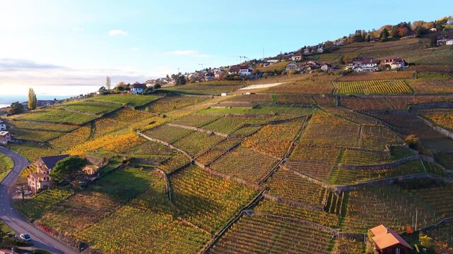 Lavaux vineyard terraces aerial view by Lake Geneva at sunset in autumn. Bourg-en-Lavaux, Canton of Vaud, Switzerland.