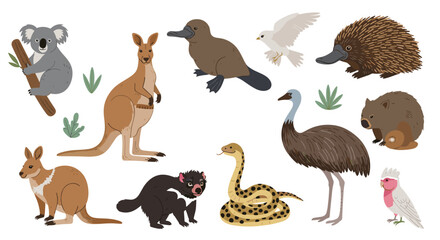 A collection of various cute cartoon Australian animals including a koala kangaroo wombat and emu isolated on a white background. © Ayesha