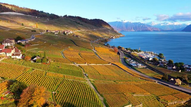 Lavaux vineyard terraces aerial view by Lake Geneva at sunset in autumn. Bourg-en-Lavaux, Canton of Vaud, Switzerland.