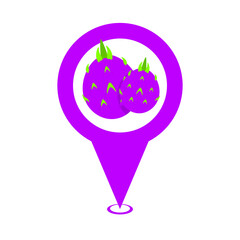 purple cute dragon fruit location pin icon