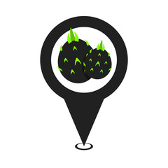 black cute dragon fruit location pin icon