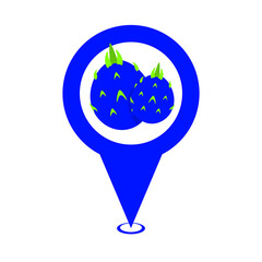 blue cute dragon fruit location pin icon