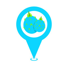 blue cute dragon fruit location pin icon