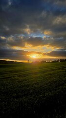 Obraz premium sunset over the field