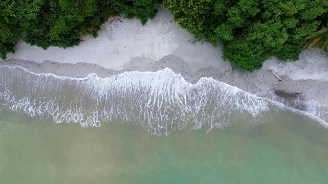 Drone Footage of White Sandy Beach Along Tropical Green Forest Coastline in Malang, Indonesia