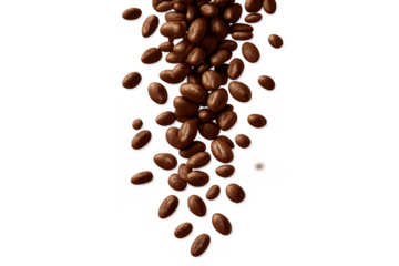Roasted coffee beans falling and spiraling, brown espresso seeds flying with transparent background, preparing caffeine drink