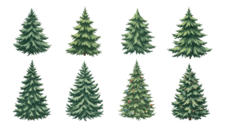 Set of christmas trees transparent background cutout png