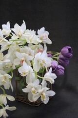 orchid flowers, cut flowers, cut white orchid branches, purple tulip, flower bouquet, lush cream orchids