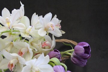 orchid flowers, cut flowers, cut white orchid branches, purple tulip, flower bouquet, lush cream orchids