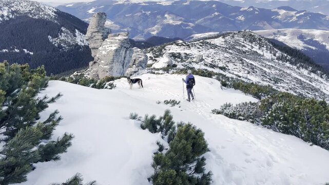 Girl with dog on Chornohora ridge of Ukrainian Carpathians in winter. Winter hike in mountains. Adventures in mountains.
