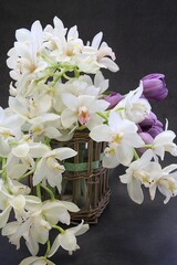 orchid flowers, cut flowers, cut white orchid branches, purple tulip, flower bouquet, lush cream orchids