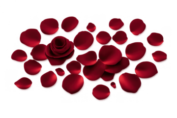 Red rose petals and a single rose scattered, forming a romantic background for greeting cards, wedding invitations, or valentine's day