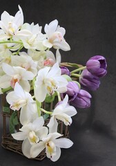 orchid flowers, cut flowers, cut white orchid branches, purple tulip, flower bouquet, lush cream orchids