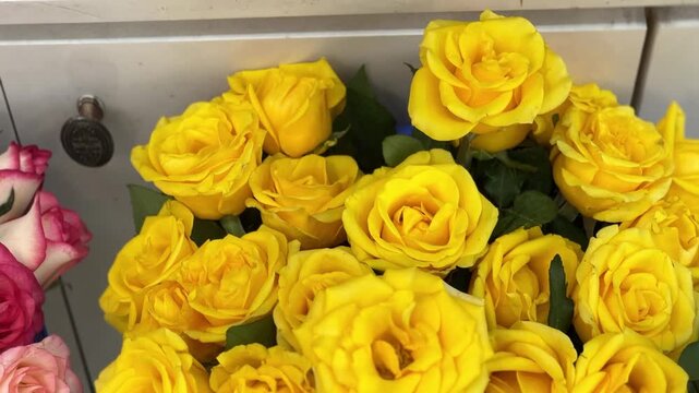 Yellow rose flowers bouquet background