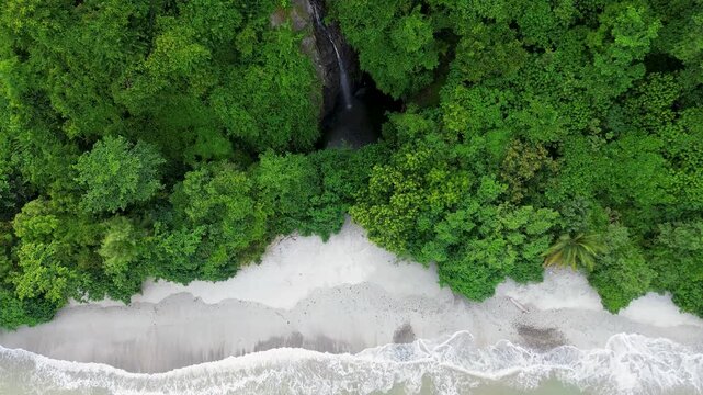 Drone Footage of White Sandy Beach Along Tropical Green Forest Coastline in Malang, Indonesia