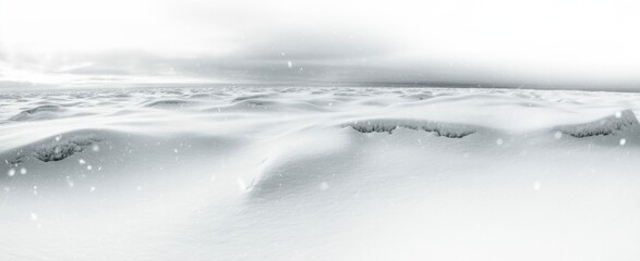 Ground sugar flying, sweet minced powder isolated on white, clipping path, macro 

