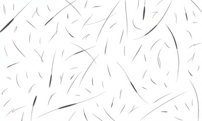 human hair scattered isolated in white background and texture, clipping path 
