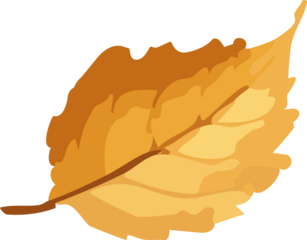 A flat vector illustration of a single golden autumn leaf with soft layered shapes
