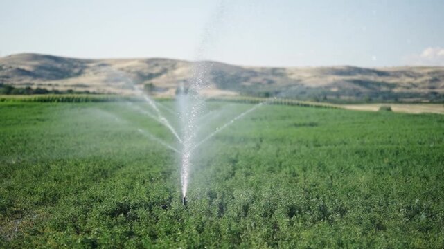Center Pivot Irrigation System in a green Field, cinematic selective focus slow motion shot