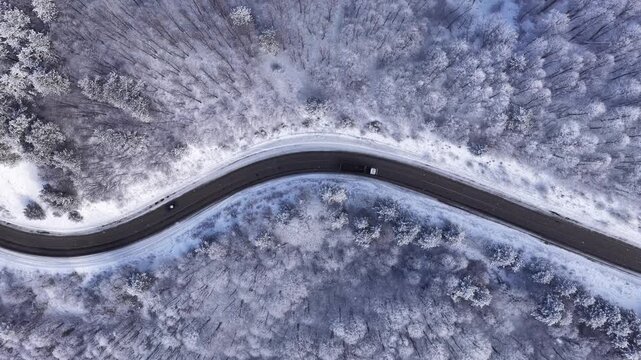 Vertical drone footage of a winding mountain road through a dense, snow-covered forest. A serene, cinematic bird's-eye view of vehicles traveling through the winter landscape and trees blanketed in wh