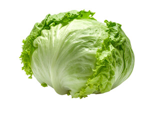 Iceberg lettuce isolated on white background