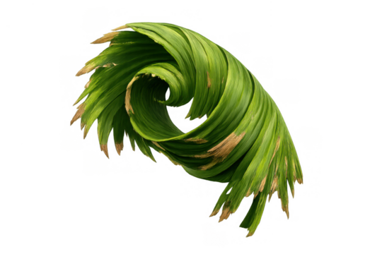 Green leaves forming an abstract spiral pattern, creating a growth swirl in nature, isolated on a transparent background - Powered by Adobe