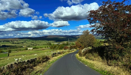 A winding country road threads through deep green pastures under a sky brushed with pale, drifting clouds. Autumn tinted trees warm the edges of the scene near Draughton, Yorkshire, UK. © derek oldfield