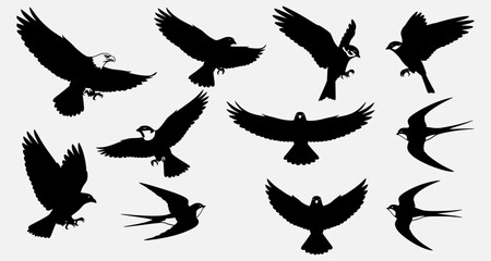 Fototapeta premium Collection of birds in flight silhouetted against a plain white background showcasing various wing positions and avian forms.