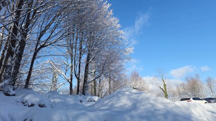 Kartepe, Turkey &ndash; January 3, 2026: Quiet winter forest path blanketed in deep snow and surrounded by bare trees.