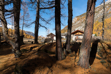 Le hameau du Monal en automne © DELAIRON