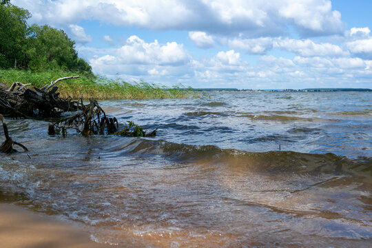 Waves rolling toward the shore of a lake with reeds and green vegetation along the coastline. Summer landscape with moving water, clouds and natural shoreline.