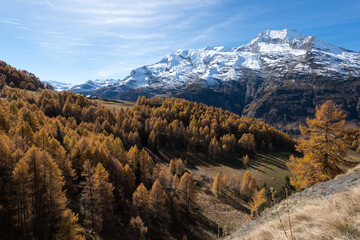 Le hameau du Monal en automne © DELAIRON