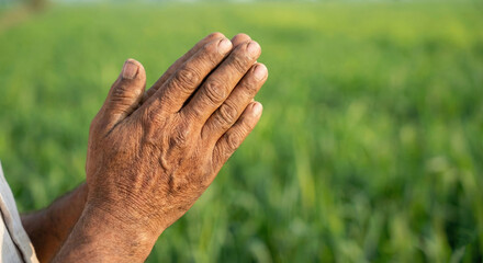 Pongal wishes in tamil text, happy pongal 2026