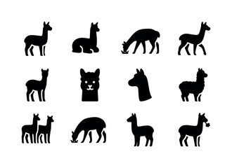 Fototapeta premium Alpaca Icons Collection. Alpacas grazing. Solid icon set of alpa