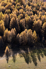 Le hameau du Monal en automne © DELAIRON