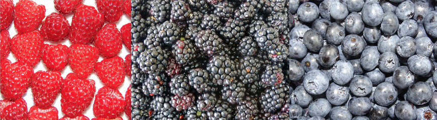 Collage with berries: raspberries, blackberries and blueberries