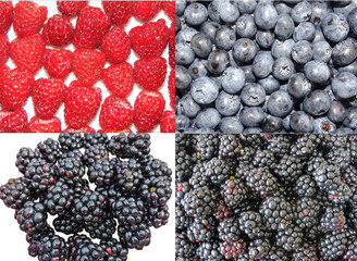Collage with berries: raspberries, blackberries and blueberries