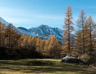 Le hameau du Monal en automne © DELAIRON