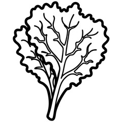 Kale Leaves Freshly Cut Nutritious Greens Isolated