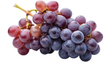 A bunch of fresh purple and pink grapes on a black background