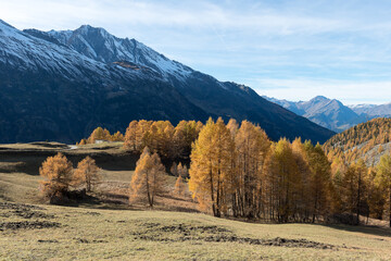 Le hameau du Monal en automne © DELAIRON
