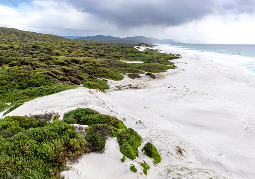 Friendly beach vew in Tasmania