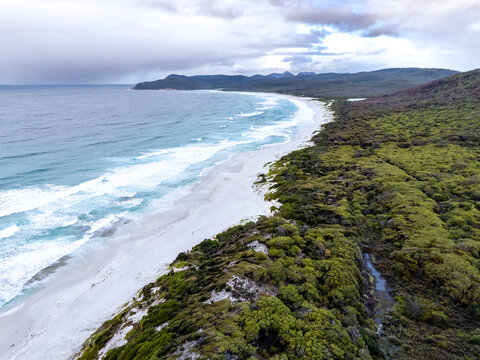 Friendly beach vew in Tasmania