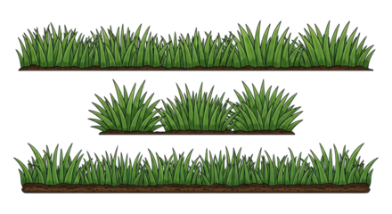Three horizontal vector strips with lush green grass and stylized plant tufts, rich soil, isolated on a transparent background, bright studio lighting. Concept for growth and environmental graphic