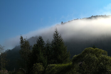 Serene landscape with misty morning fog over green meadow and mountains