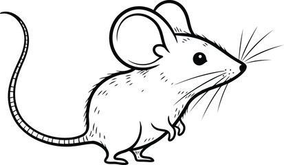 Curious mouse exploring