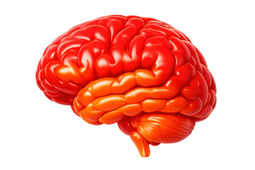 Human brain 3d rendering representing intelligence, thinking, memory, creativity, and mental health concepts