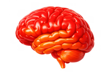Human brain 3d rendering representing intelligence, thinking, memory, creativity, and mental health concepts