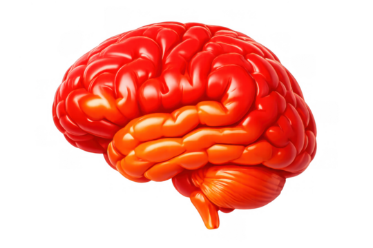 Human brain 3d rendering representing intelligence, thinking, memory, creativity, and mental health concepts - Powered by Adobe