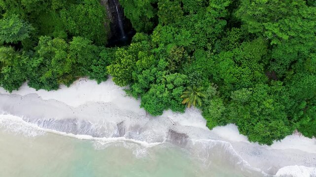 Drone Footage of White Sandy Beach Along Tropical Green Forest Coastline in Malang, Indonesia